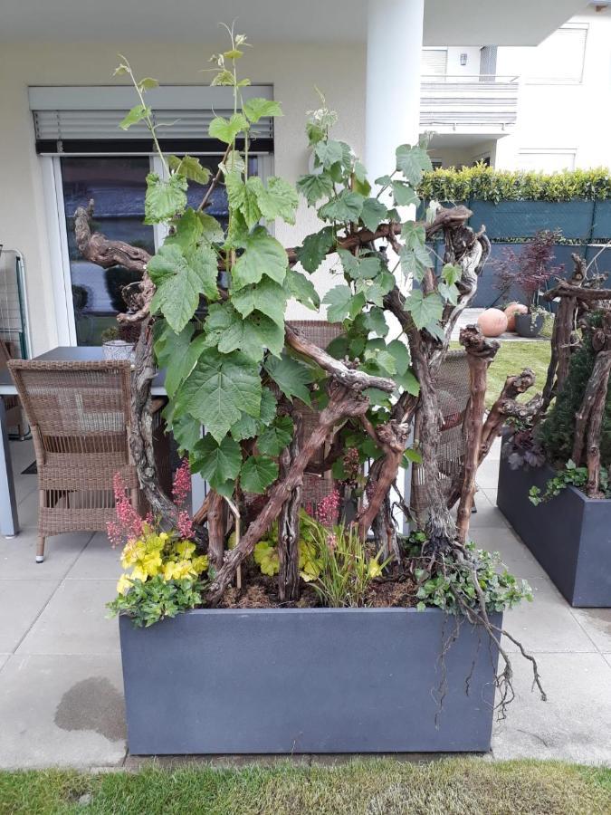 "Nature Erleben" Appartement & Komfortzimmer เวลเดน อัม เวิร์ทเทอร์ซี ภายนอก รูปภาพ
