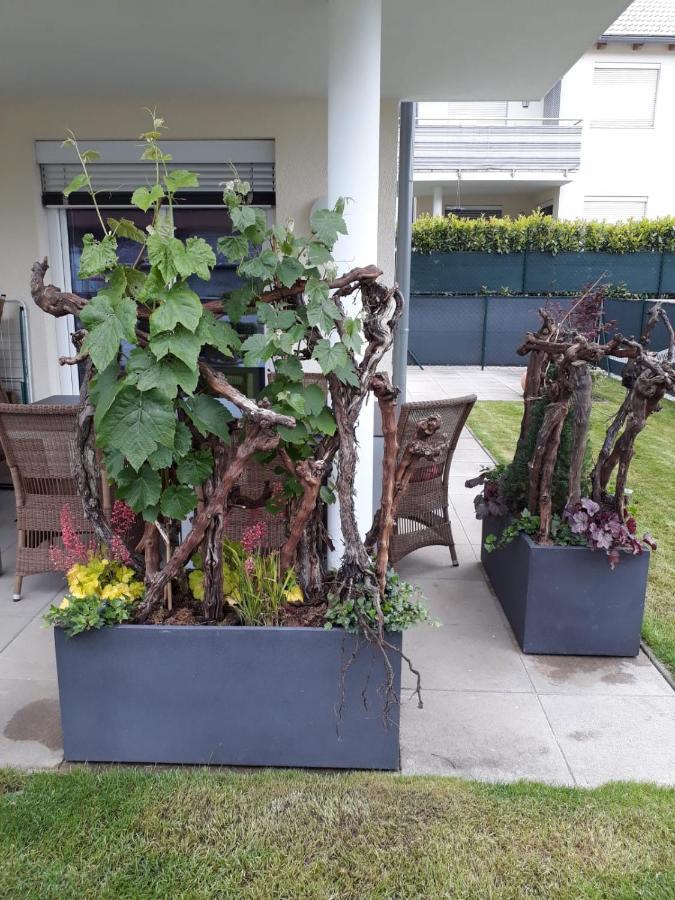 "Nature Erleben" Appartement & Komfortzimmer เวลเดน อัม เวิร์ทเทอร์ซี ภายนอก รูปภาพ